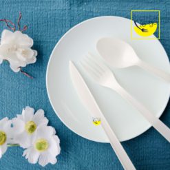16.5cm CPLA環保可分解餐具